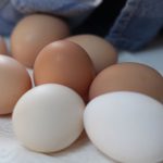 卵を購入するときに知っておきたい6つの豆知識